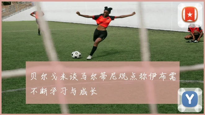 贝尔戈米谈马尔蒂尼观点称伊布需不断学习与成长